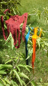 Brazilwood, Indigo, Coreopsis, Natural Dye